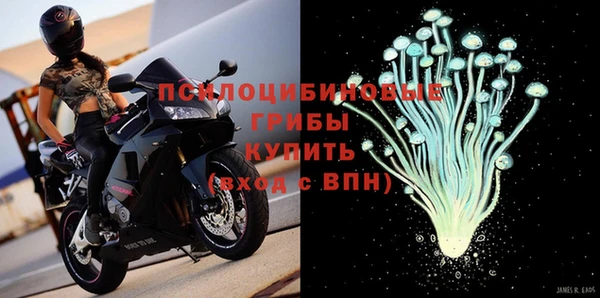 mdpv Бердск